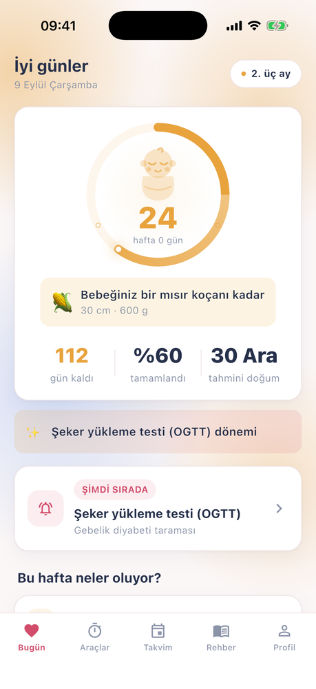 A Life Anne uygulaması ana ekranı