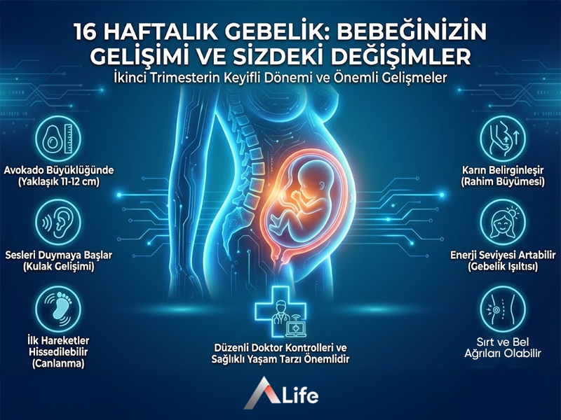 16 Haftalık Gebelik