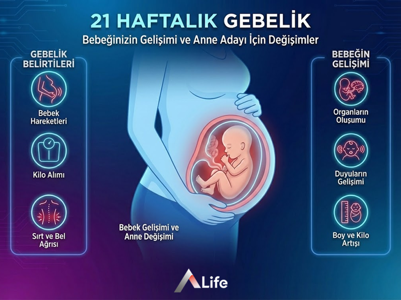 21 Haftalık Gebelik