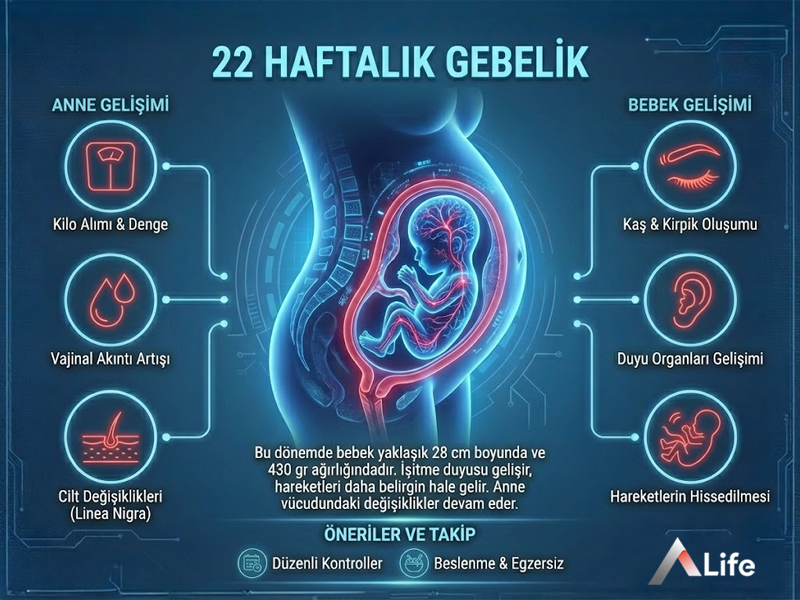 22 Haftalık Gebelik