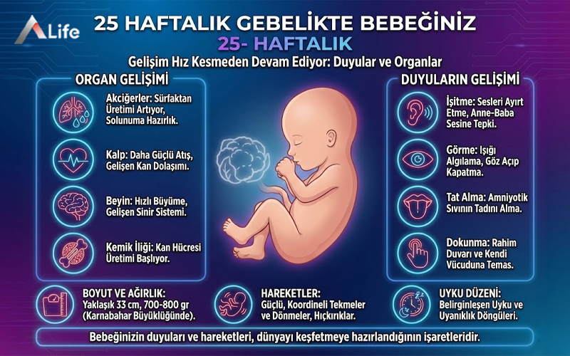 25-haftalik-gebelik-bebek-gelisimi-kilosu-boyu-organ-ve-duyularin-gelisimi_240ec8a1.webp