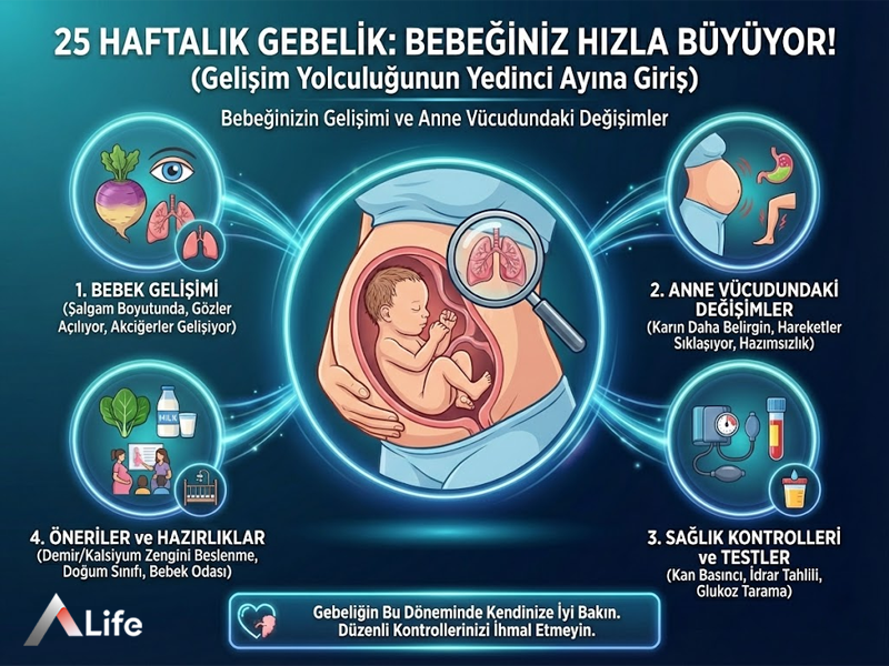 25 Haftalık Gebelik