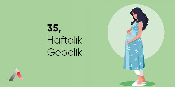 35_Haftal__k_Gebelik_be1dc7f1.webp