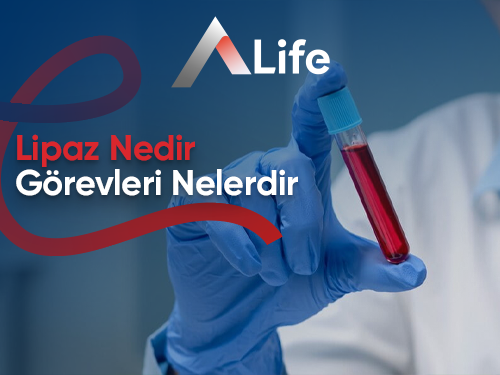 Lipaz Nedir? Lipaz Görevleri Nelerdir?