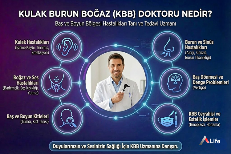 Kulak Burun Boğaz (KBB) Doktoru Nedir? Neye Bakar?