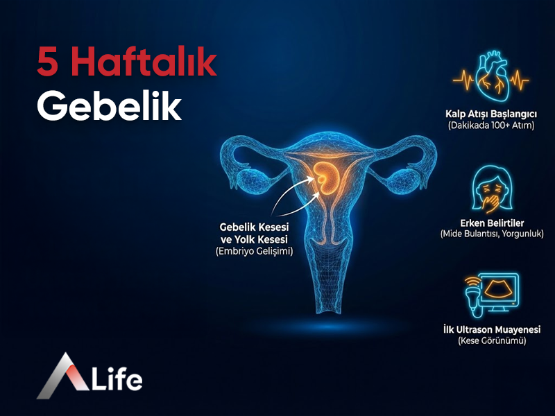 5 Haftalık Gebelik