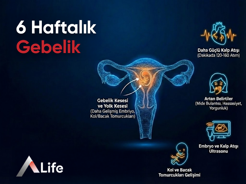 6 Haftalık Gebelik