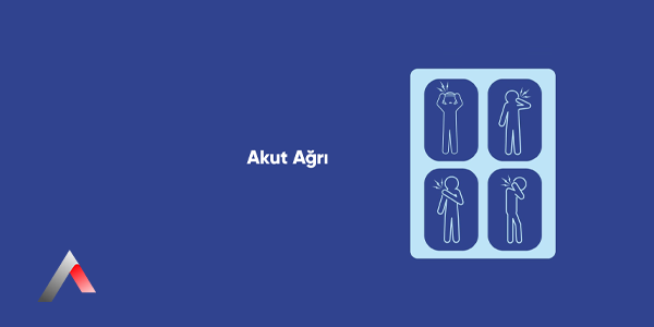 Akut_A__r___e1bbf4a9.webp