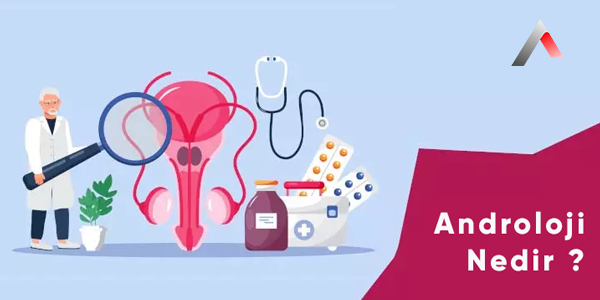 Androloji_Nedir_a834fc4e.webp