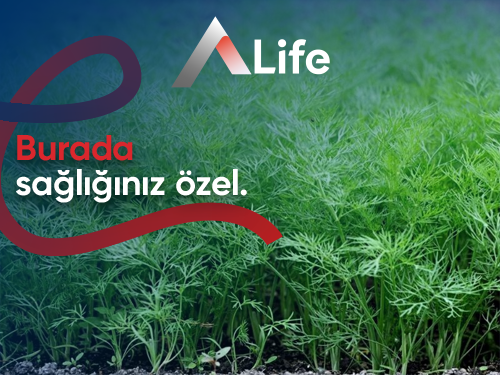 Dereotu Nedir? Dereotunun Faydaları Nelerdir?