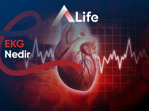 EKG Nedir ?
