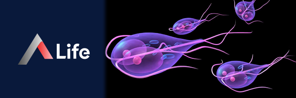 Giardia_df9b1c94.webp