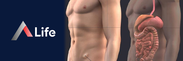 Inguinal_Hernia_5631bbbf.webp