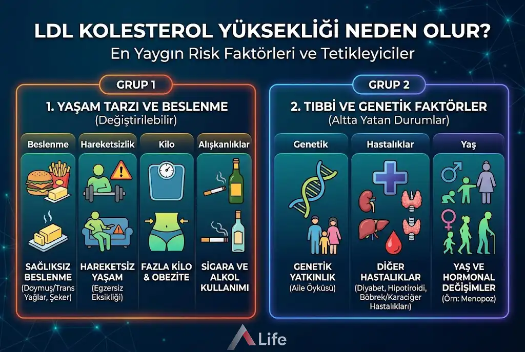 LDL-lolesterol-yuksekligi-neden-olur-a-life-ankara_e4a648cc.webp