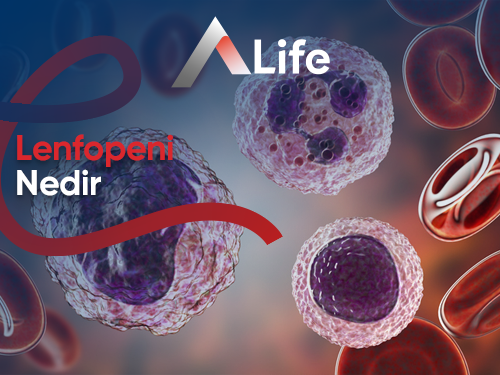 Lenfopeni Nedir?