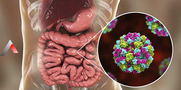 Norovirus_95b2ebea.webp