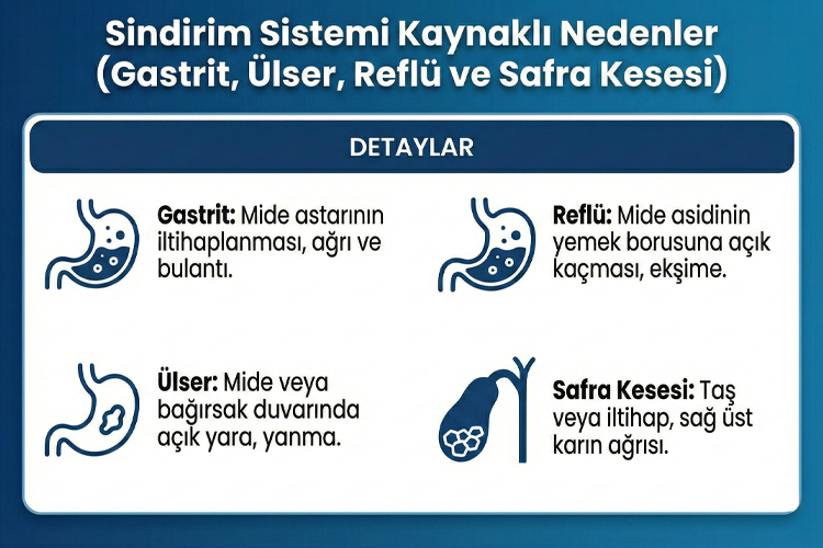 Sindirim_Sistemi_Kaynakl___Mide_Bulant__s___5b40bf8d.webp