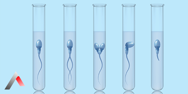 Qattiq jingalak oqituvchi porno Quyon haqida jinsiy multfilm