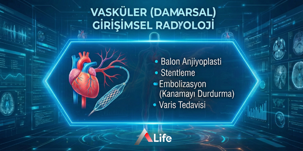 Vaskuler-girisimsel-anjiyo_4d6cb26a.webp