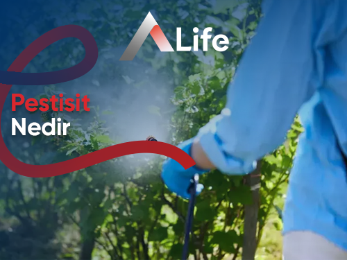 Pestisit Nedir?