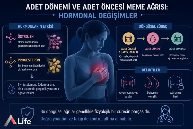 adet-donemi-ve-adet-oncesi-meme-agrisi_999dccbd.webp