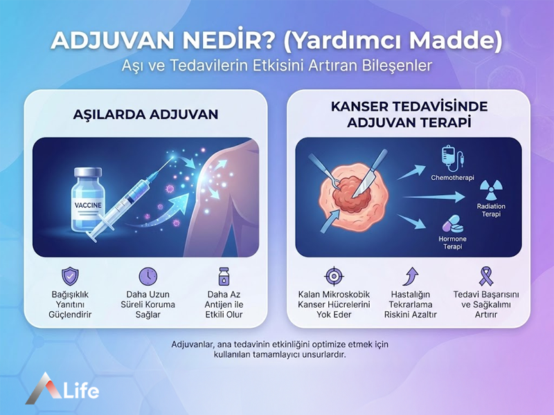 Adjuvan Nedir?