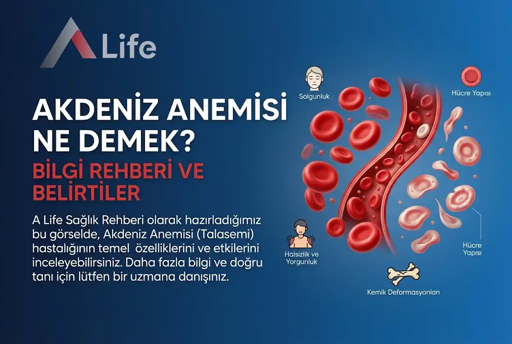 akdeniz-anemisi-a-life-ankara_2c9ab415.webp