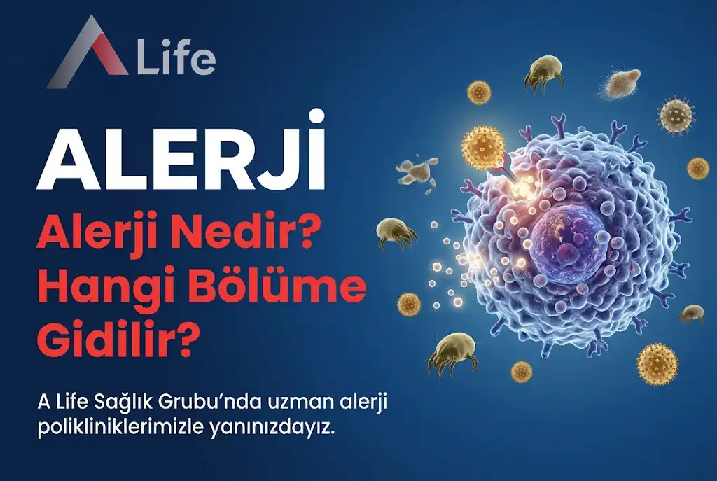 alerji-nedir-alerji-icin-hangi-bolume-gidilir-a-life-ankara_4be6014a.webp