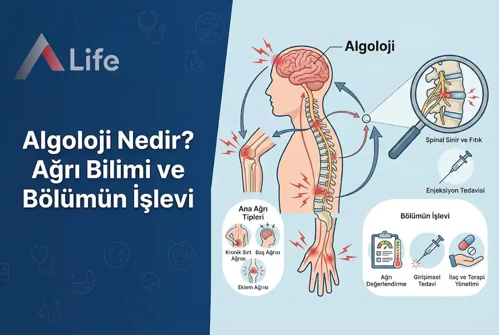 algoloji-nedir-agri-bilimi-a-life-ankara_3853bb3e.webp
