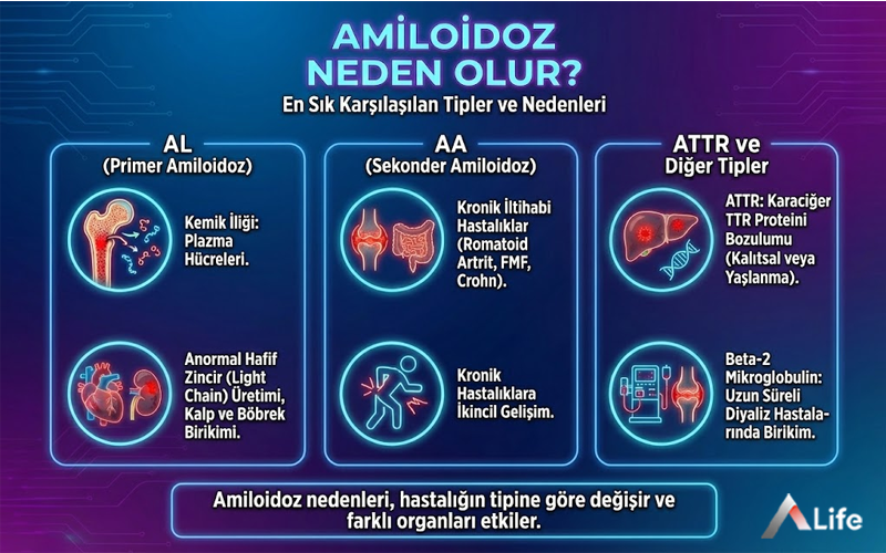 amiloidoz-neden-olur-al-primer-aa-sekonder-attr-tipleri-ve-kronik-hastalik-etkileri_3aa00ca7.webp