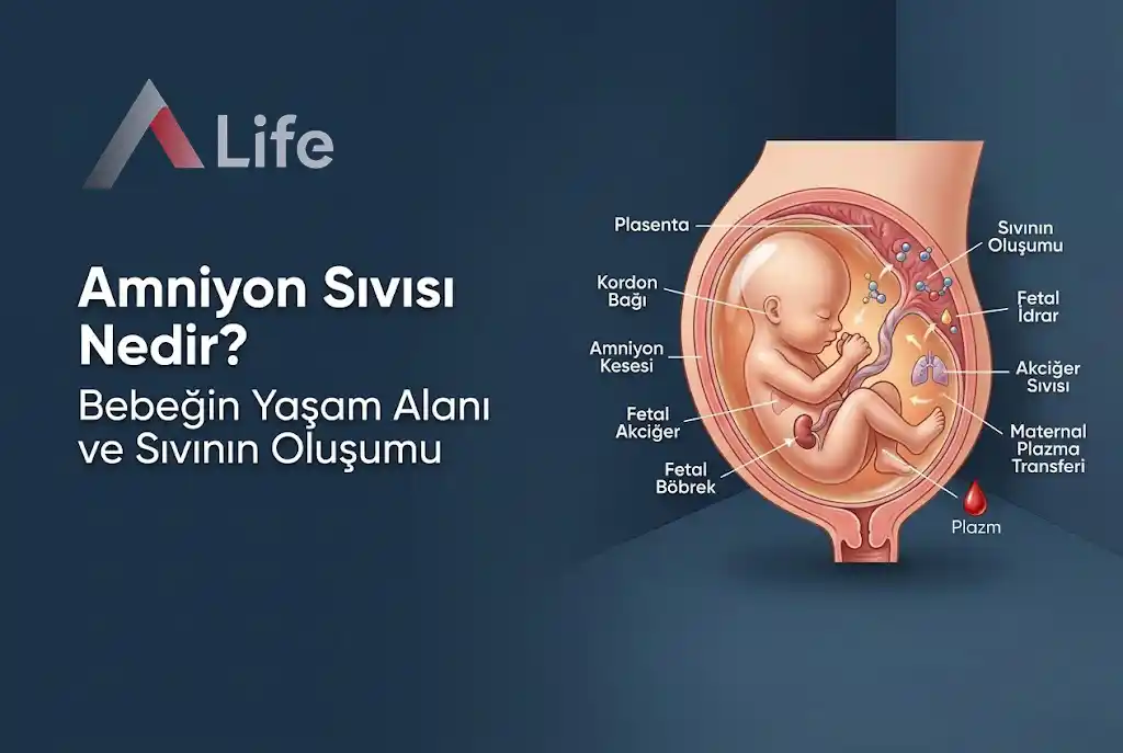 amniyon-sivisi-nedir-a-life-ankara_1cdfa633.webp