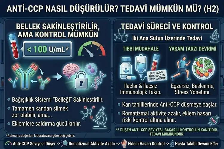 anti-ccp-nasil-dusurulur_ccd3b4de.webp