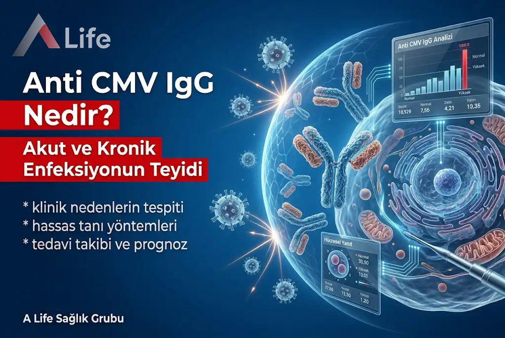anti-cmv-lgg-nedir-a-life-ankara_9cf05302.webp