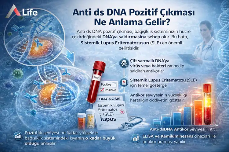 anti-ds-dna-pozitif-cikmasi-ne-anlama-gelir_a5f7b887.webp