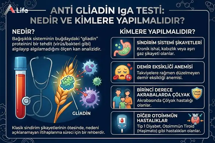 anti-gliadin-iga-testi_71dc18a0.webp