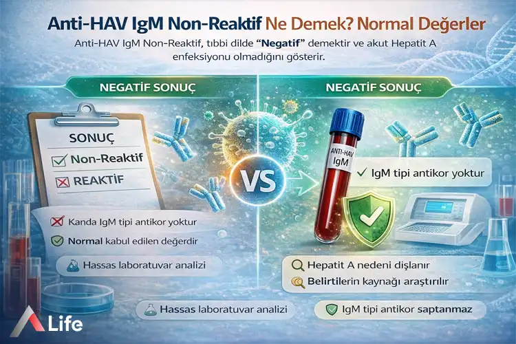 anti-hav-igm-non-reaktif-ne-demek-normal-degerler_13c48615.webp