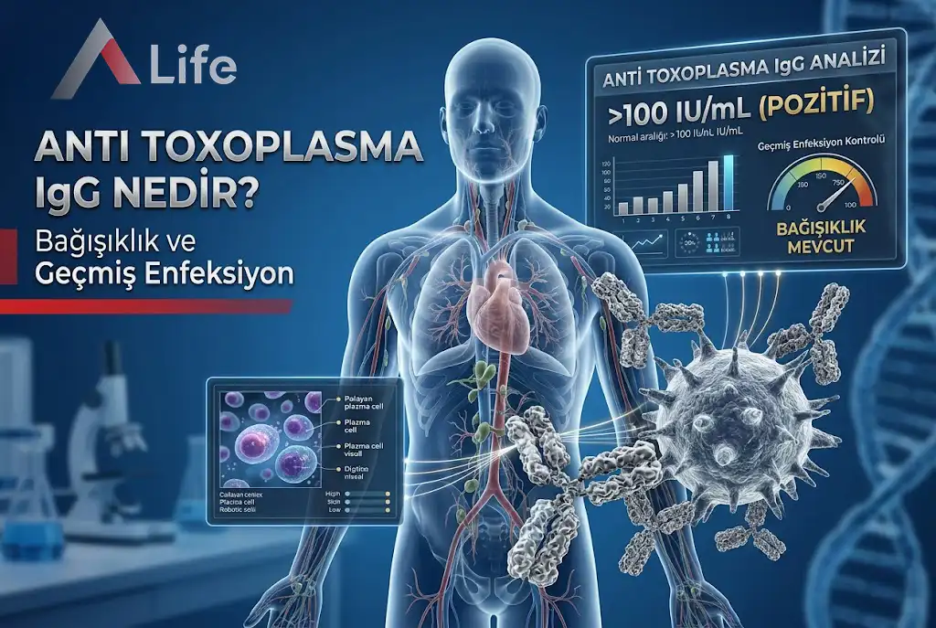 anti-toxoplasma-igg-nedir-bagisiklik-ve-gecmis-enfeksiyon-a-life-ankara_b75e3df6.webp