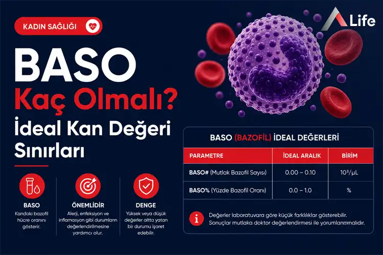 baso-kac-olmali_91ea9971.webp