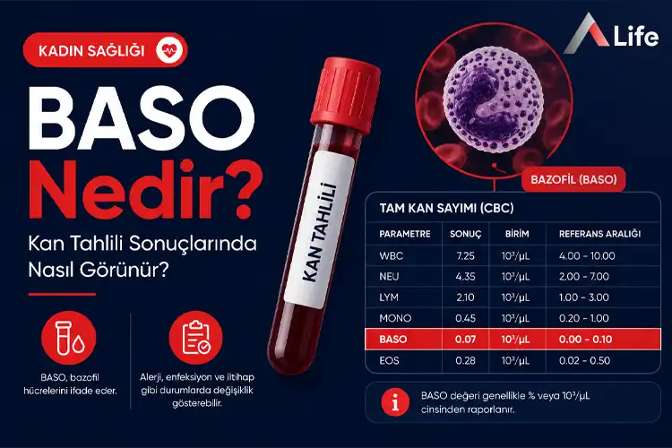 baso-nedir_02048d87.webp