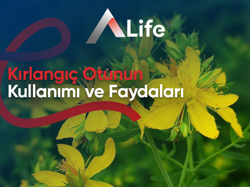 Kırlangıç Otunun Kullanımı ve Faydaları