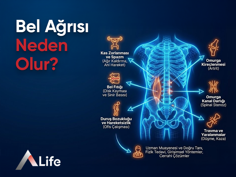 Bel Ağrısı Neden Olur?