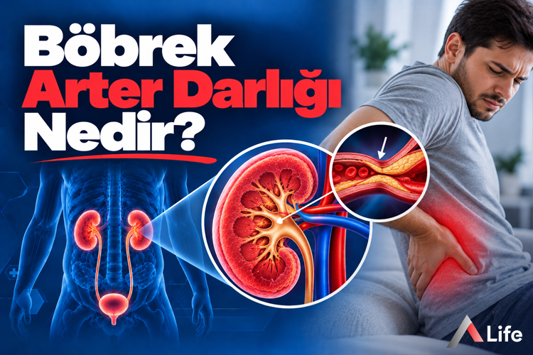 bobrek-arter-darligi-nedir_811256b2.webp