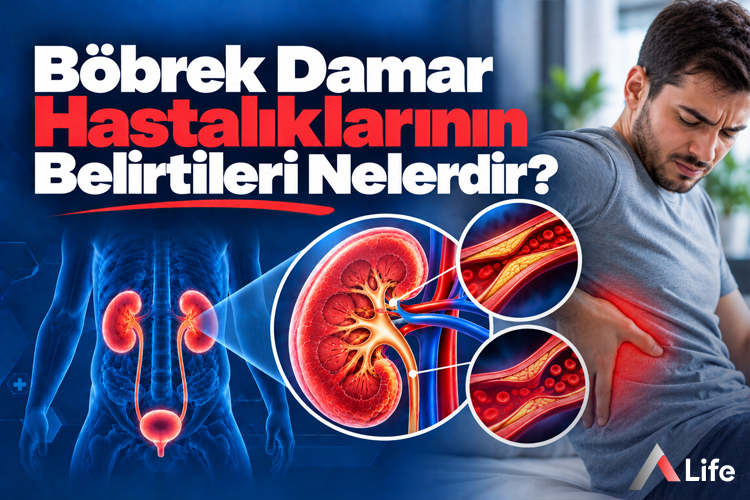 bobrek-damar-hastaliklarinin-belirtileri-nelerdir_584e3569.webp