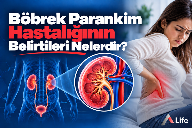 bobrek-parankim-hastaliginin-belirtileri-nelerdir_dca69324.webp