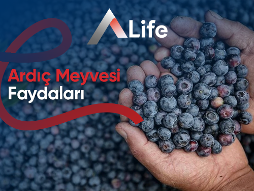 Ardıç Meyvesi Faydaları