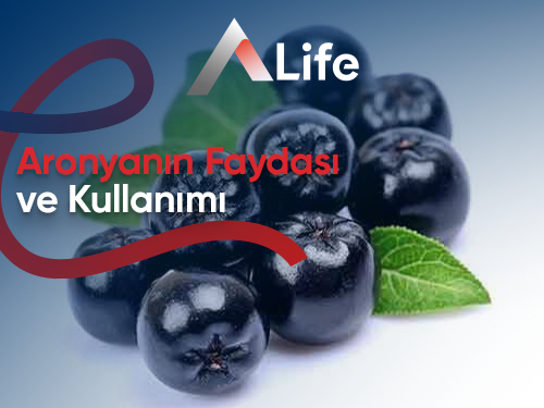 Aronyanın Faydası ve Kullanımı