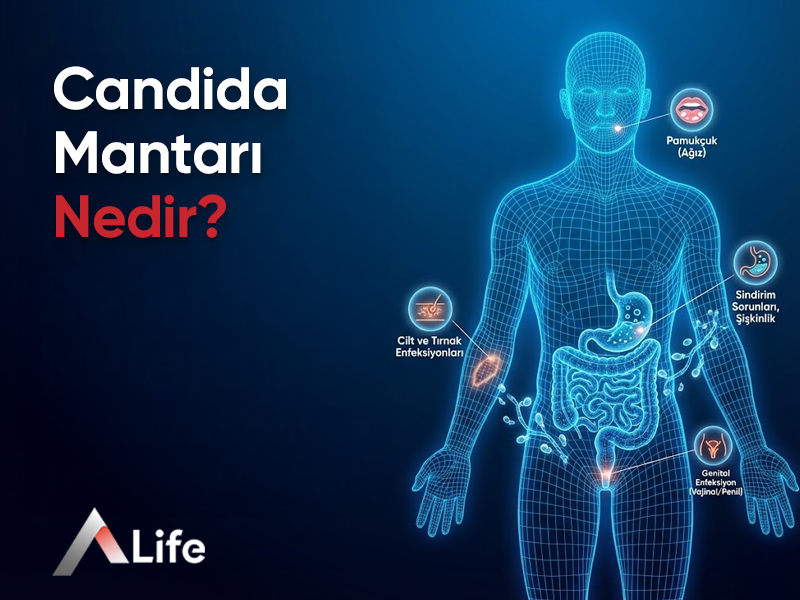 Candida Mantarı Nedir? Belirtileri Nelerdir?