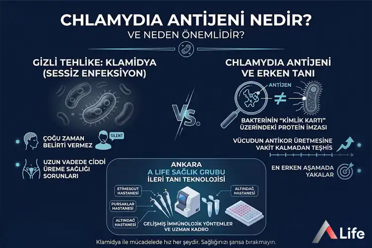 chlamydia-antijeni-nedir_42daeb4b.webp
