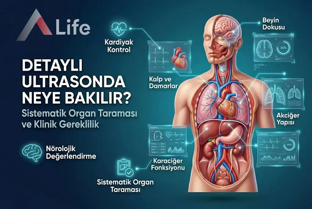 detayl-ultrasonda-neye-bakilir-sistematik-organ-taramasi-ve-klinik-gereklilik-a-life-ankara_d85fd68a.webp