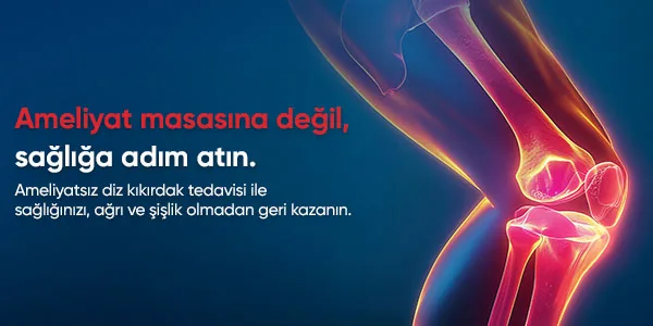 diz_k__k__rdag___600x300_8ff02f34.webp